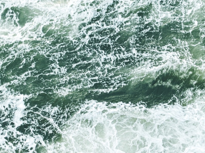 The Persecuted (Matt.&nbsp;5:10-12)