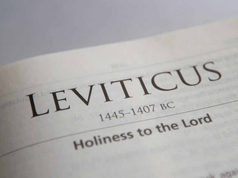 Why is Leviticus so&nbsp;Weird?