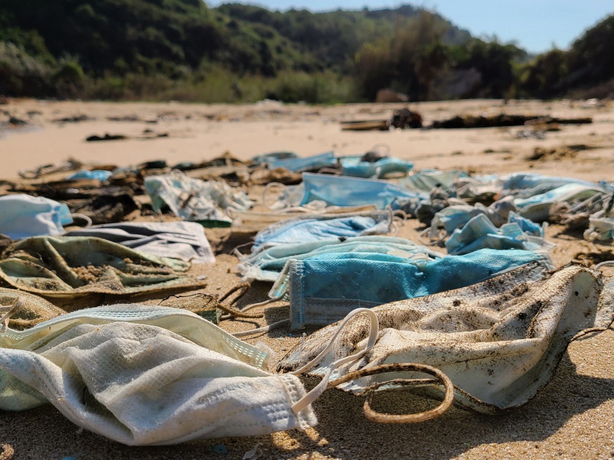 A Whimper, Not a&nbsp;Bang