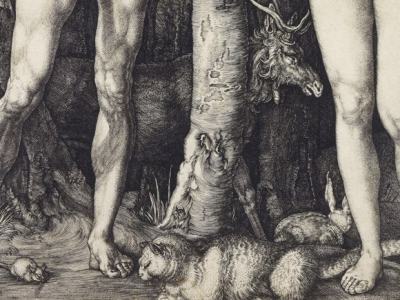 Men and Women in&nbsp;Creation