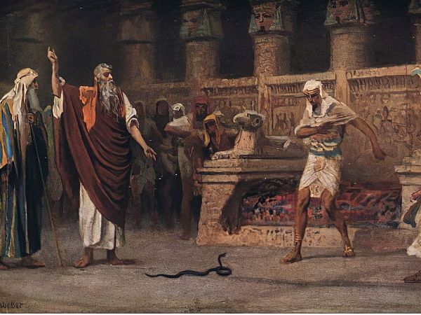 The תנן of Exodus&nbsp;7