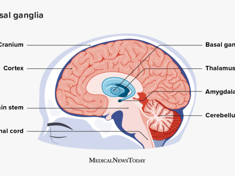The Habits of a Reluctant&nbsp;Convert